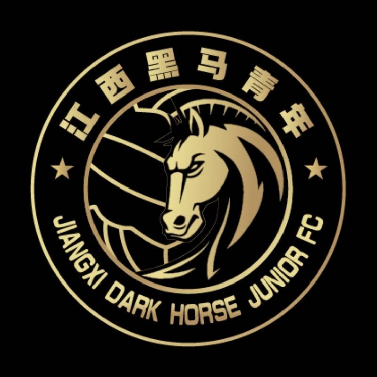  官方：江西黑馬青年完成異地遷移程序，更名為溫州職業(yè)足球俱樂部